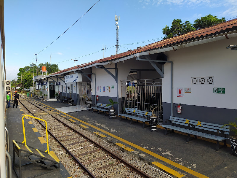 Stasiun Temuguruh